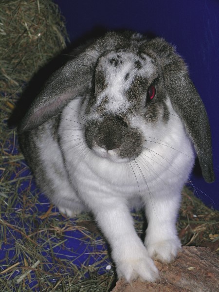 ../Images/9 Jenny.jpg